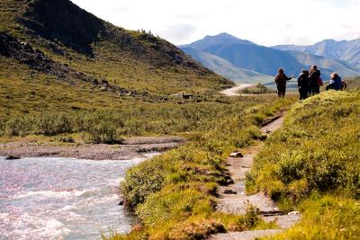 Best trails in denali national park new arrivals