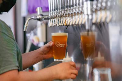 Bartender fills glass with craft beer from Tioga Sequoia Brewing Company