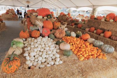 planet pumpkin
