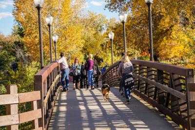 Fall Walk on Bridge