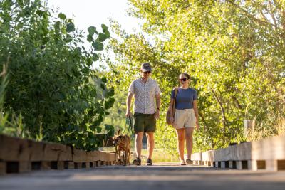Two friends walking a dog along the Poudre River Trail