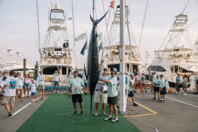 Billfish Classic