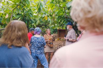 Image Courtesy of Maui Chocolate Tour