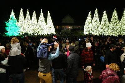 A crowd of people at Highlands' Christmas tree lighting.