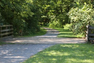 9-11 Trail - The Lower Trail