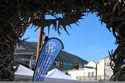 Chamber Flag Under Arches