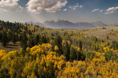 Fall in The Tetons by Jay Kazen - Drone