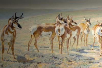 Jackson Hole Art Auction