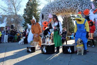 2025 Halloween Dog Contest Winners