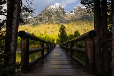 Bridge in Tetons