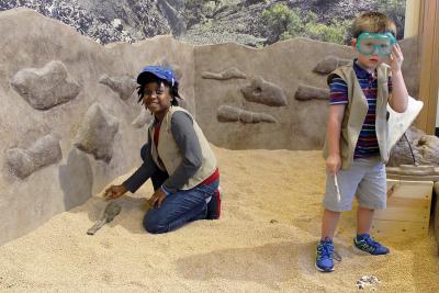 Dinosaur Discovery Museum