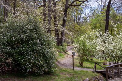 UT Arboretum Trails In Knoxville, TN