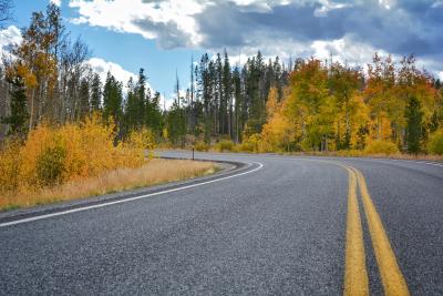 Fall Drive Woods Landing