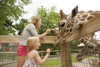 zoo