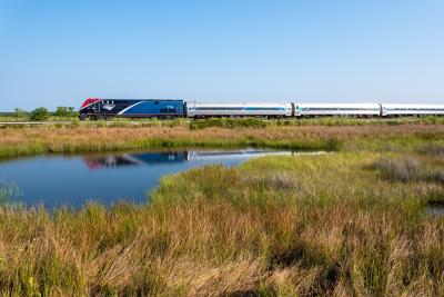 An Amtrak engine and three cars on the rail lines surrounded by marshes and bayous