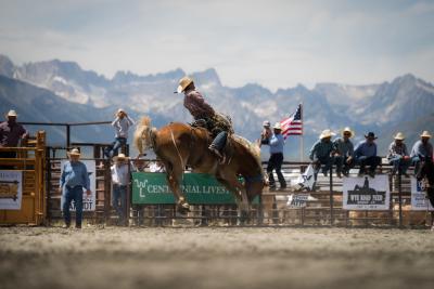 Bridgeport Rodeo horse bucking Pondella