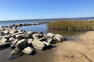 Tourism Impact Grant - NC Coastal Federation / Jockey's Ridge State Park Shoreline Stabilization