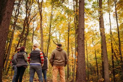 Otter Creek Woodworks Carolinian Forest