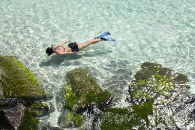 Snorkeling at the jetties