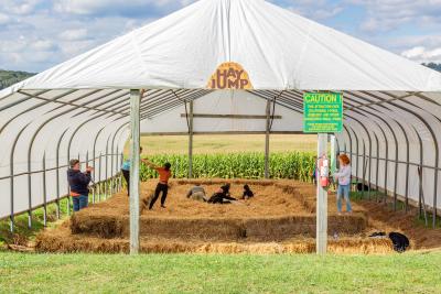 Kids jumping in the hay jump at mast farms.