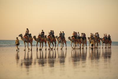 Camel tour group on Cable Beach