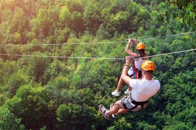 Zipline Exciting Adventure