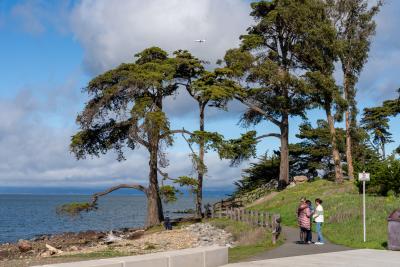 Coyote Point
