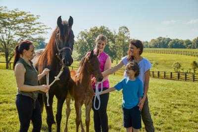 A group of people with two Saddlebred horses at Kismet Farm, one of Shelby County's premier Saddlebred Horse Farms.