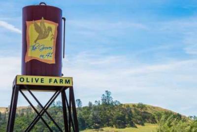The Groves on 41 - Visit Slo Cal