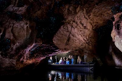 GlowWorm Grotto