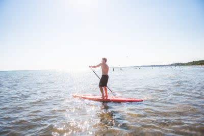 Person paddleboarding on calm water near a sandy shoreline on a sunny day.