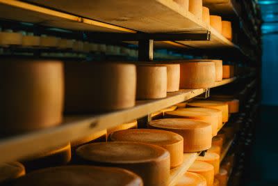 Rows of aging cheese wheels stacked on wooden shelves in a dimly lit storage room.