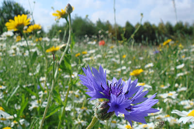 Tamworth - Nature Reserve