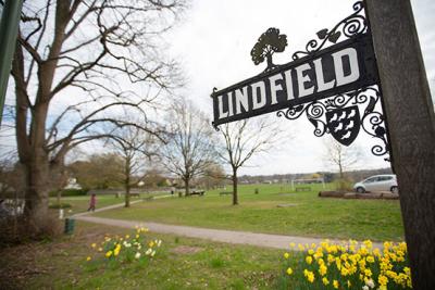 Lindfield Sign