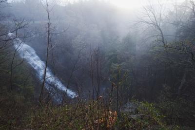 heavy fog over small gorge / mbp