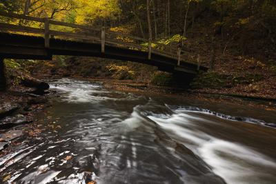 bridge across the stream