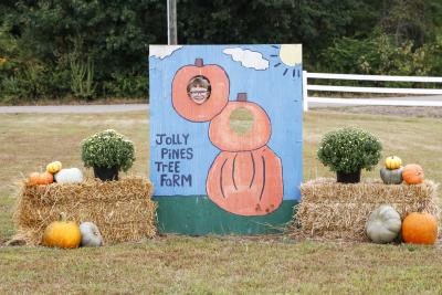 Jolly Pines Tree Farm Fall Pumpkins