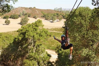 SMzipline