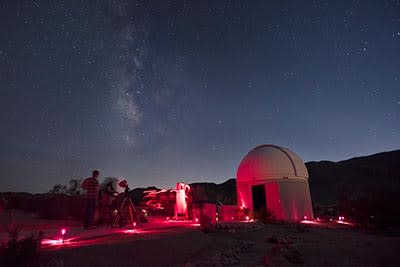 Fishhook Cactus - Sky's The Limit Observatory & Nature Center