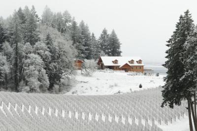 Winters-Hill-in-snow