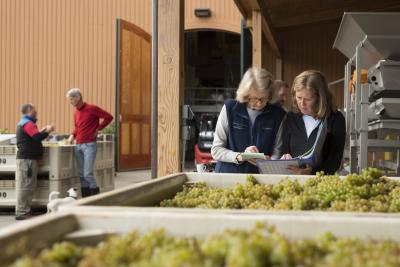 Drouhin Family checks in on Harvest 2018