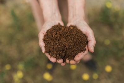 Handfull of dirt