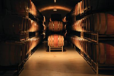 Enjoy the calm of Cellar Season