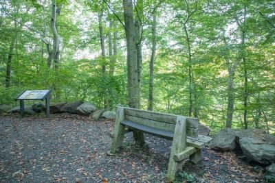 Brandywine Trail - BW Creek