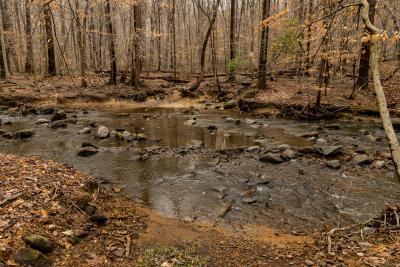 Rocky Run - Brandywine Creek