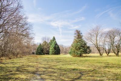 Nature Preserve - Bellevue