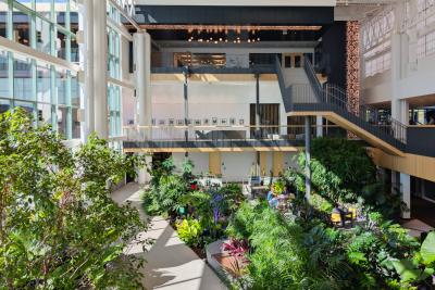 Light shines through the glass windows of the garden space at Central Park.