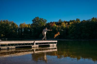 Codorus Park dog jumping off dock