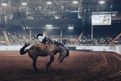New Mexico State Fair Rodeo