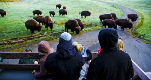 Northwest Trek Keeper Tour